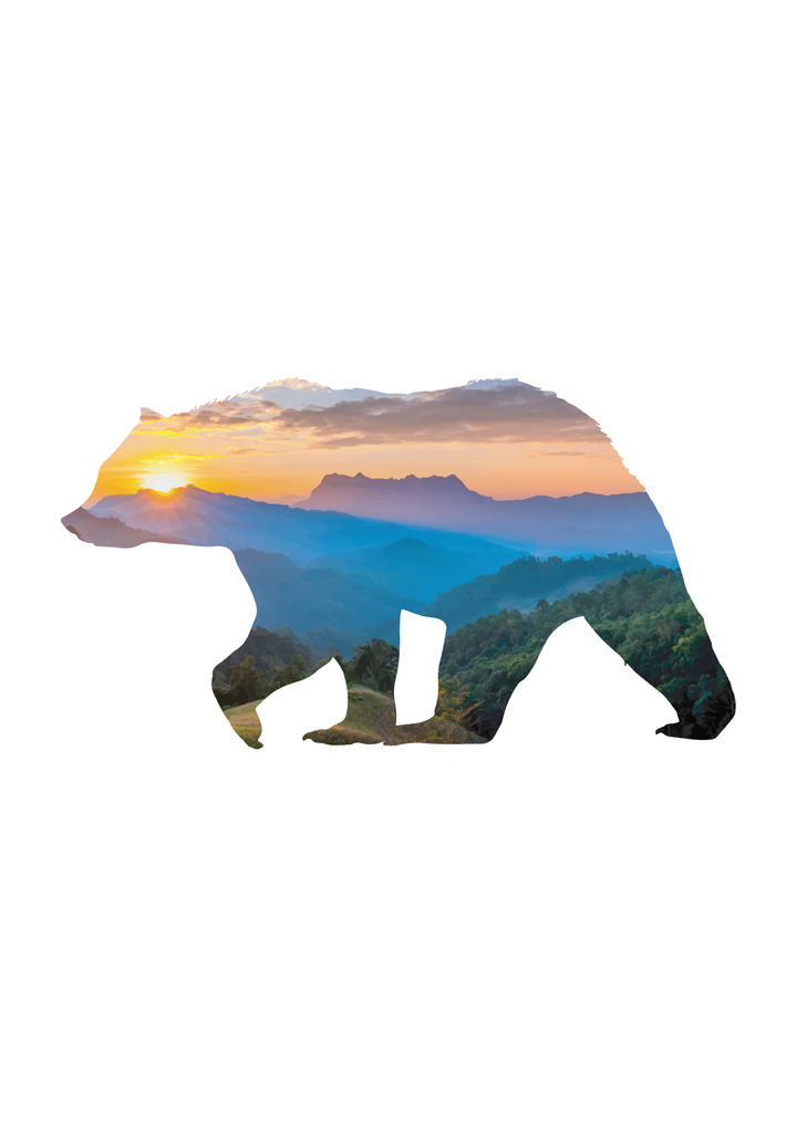 Nature_BEAR-01