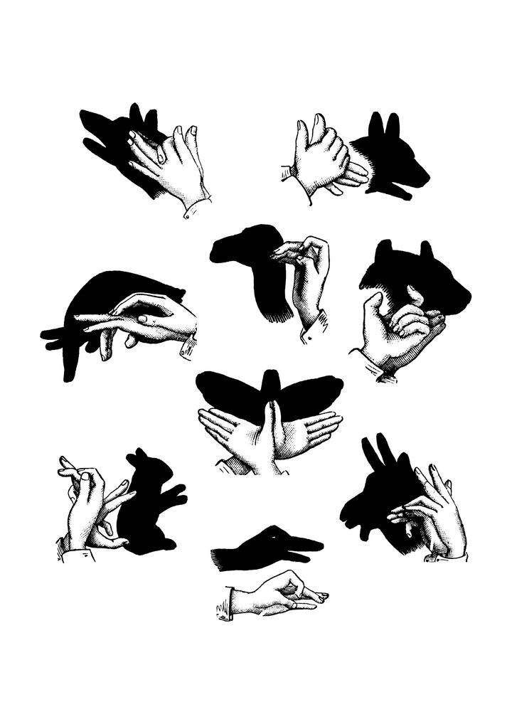 Shadows_Animal-03