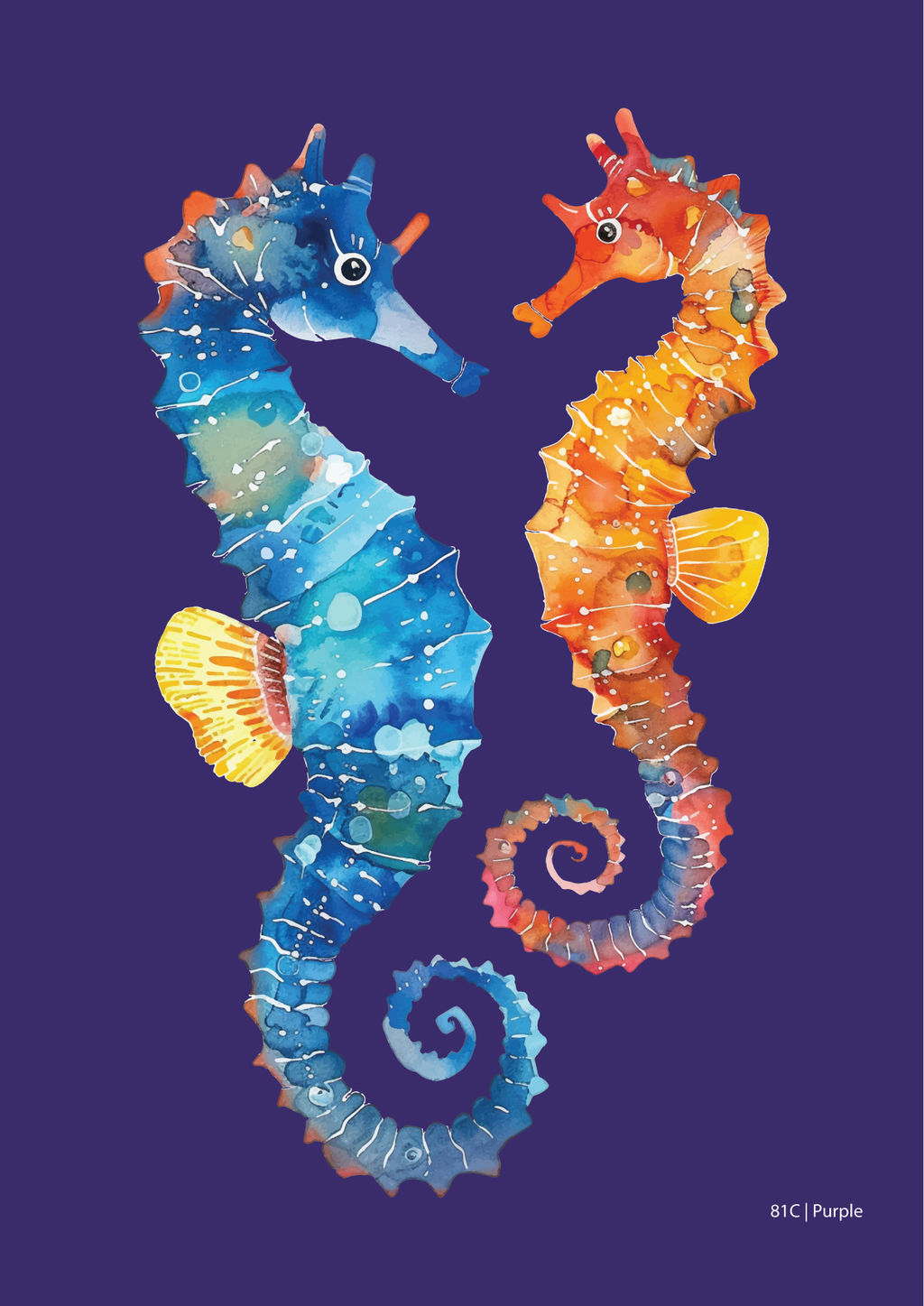 Seahorses-11