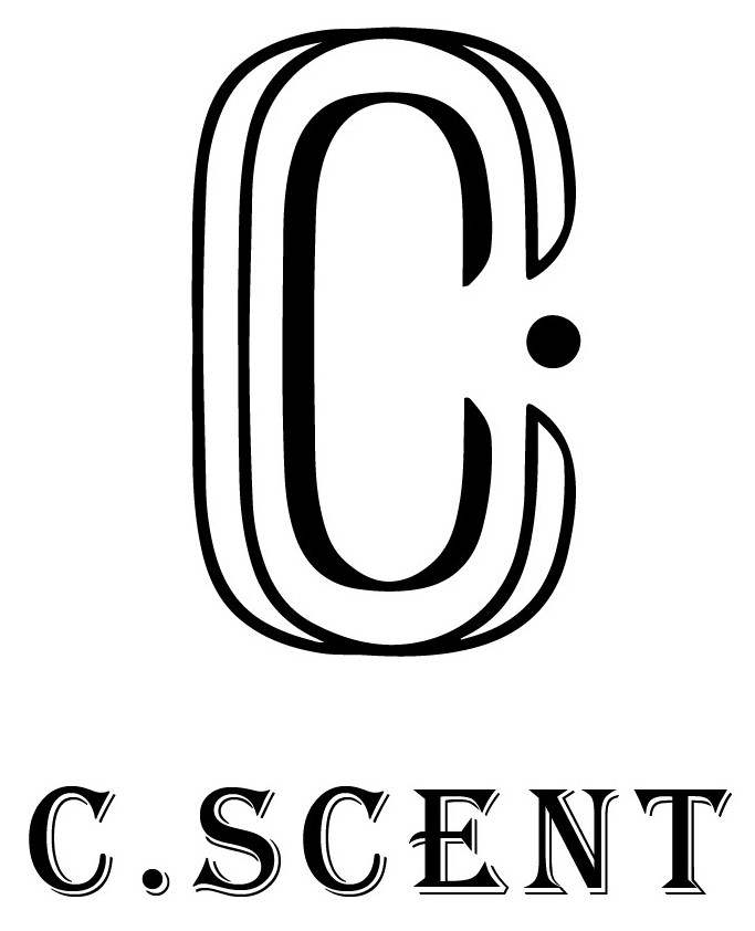 CSTS Group Enterprise