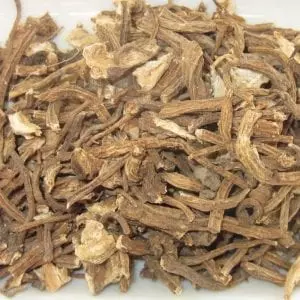 angelica_root_src_1-300x300