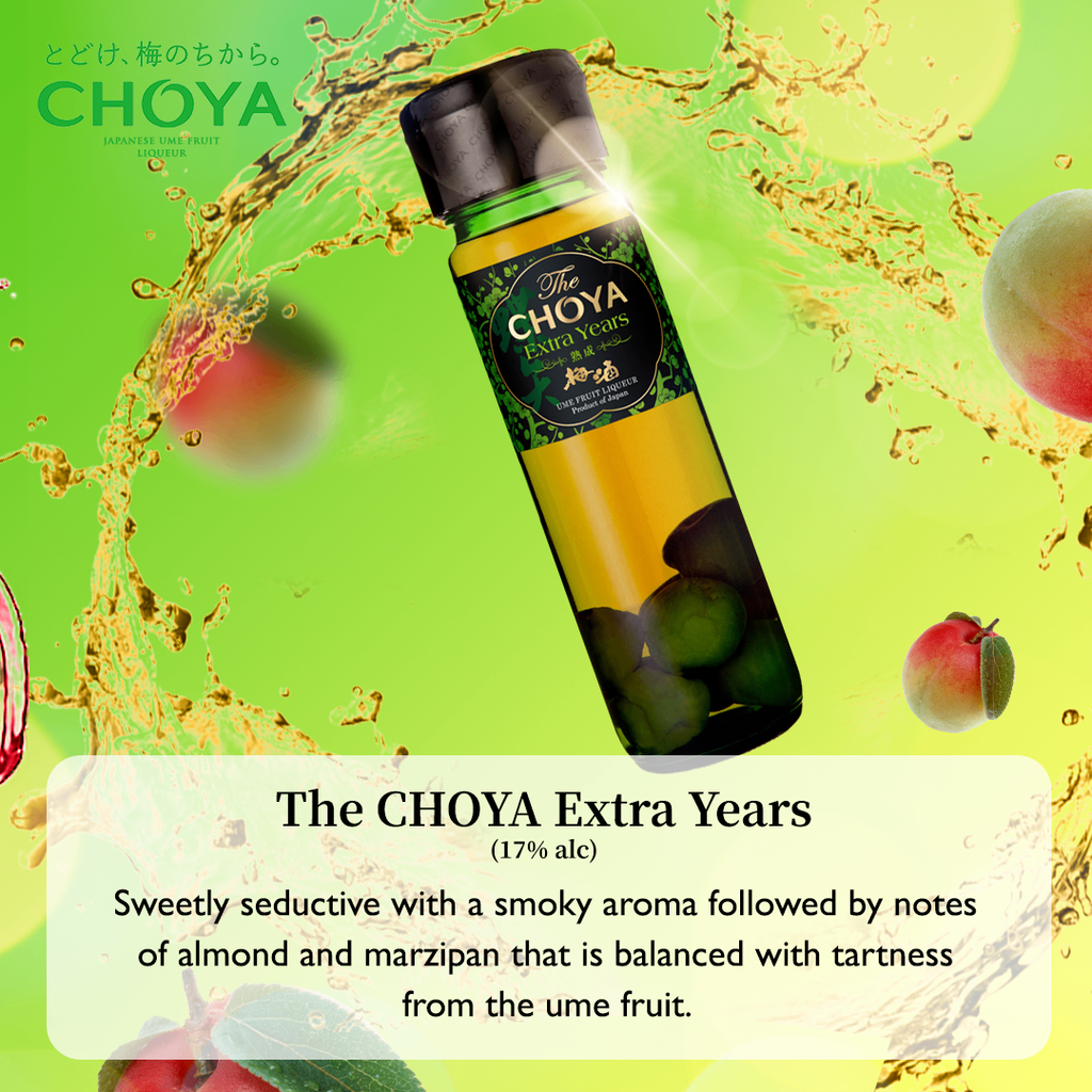CHOYA Relax Package  2