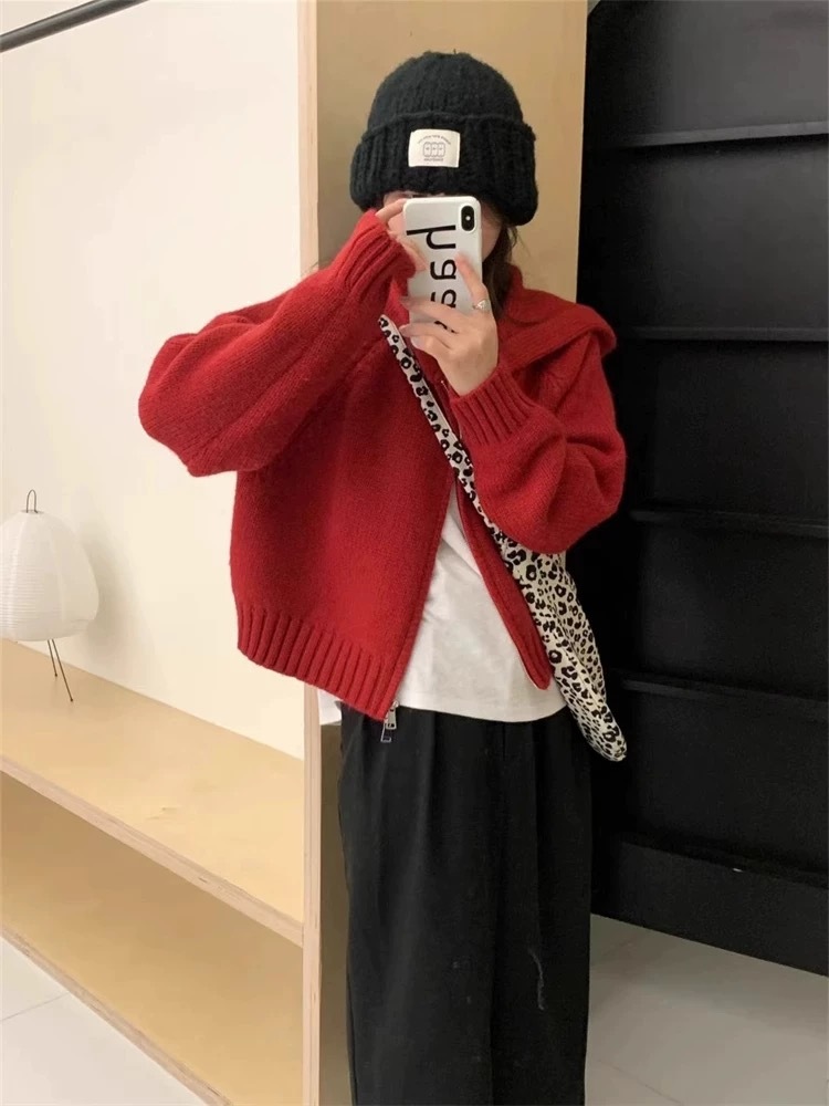 IMG_4100-1734036470415