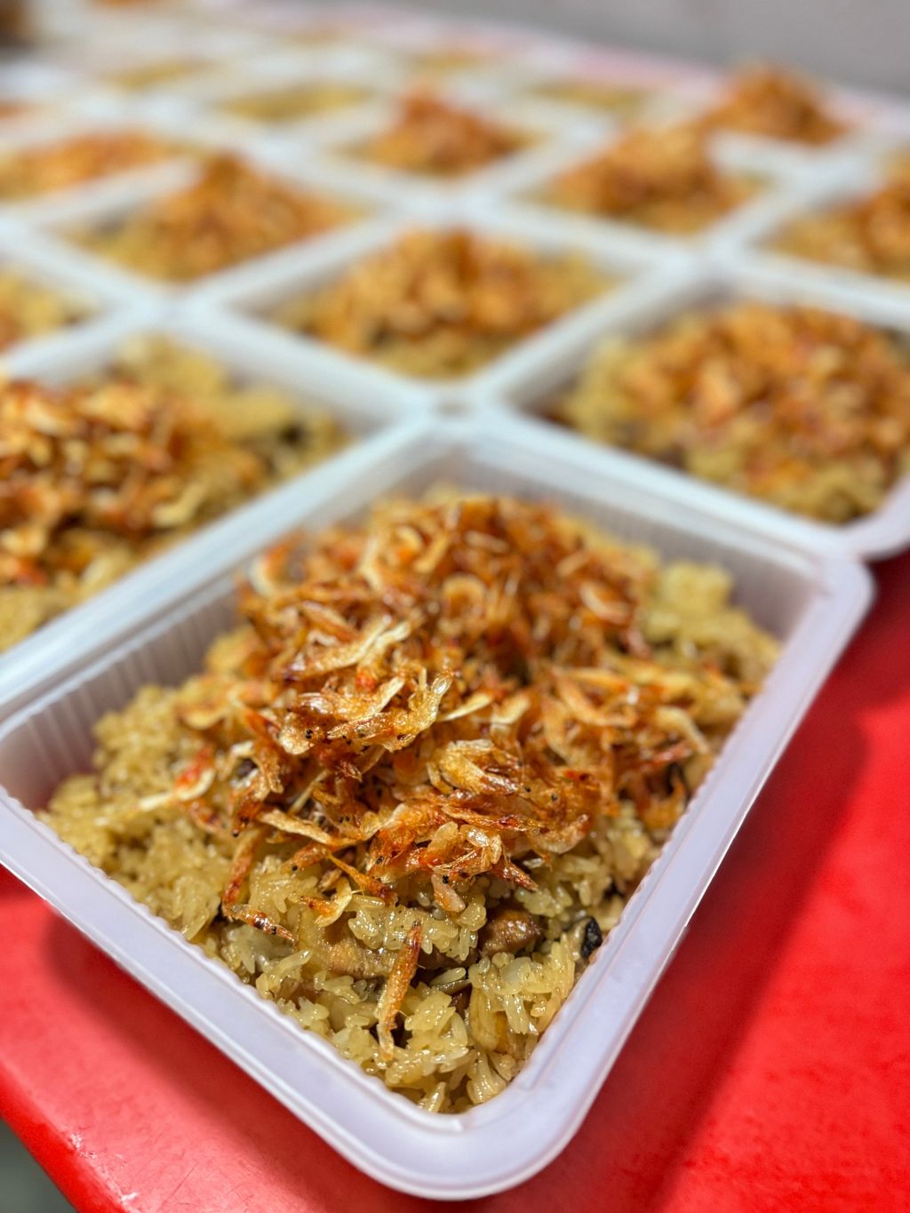 image_AC880C4F-E272-4839-9DE2-45DBC6AF89F1_1763981230