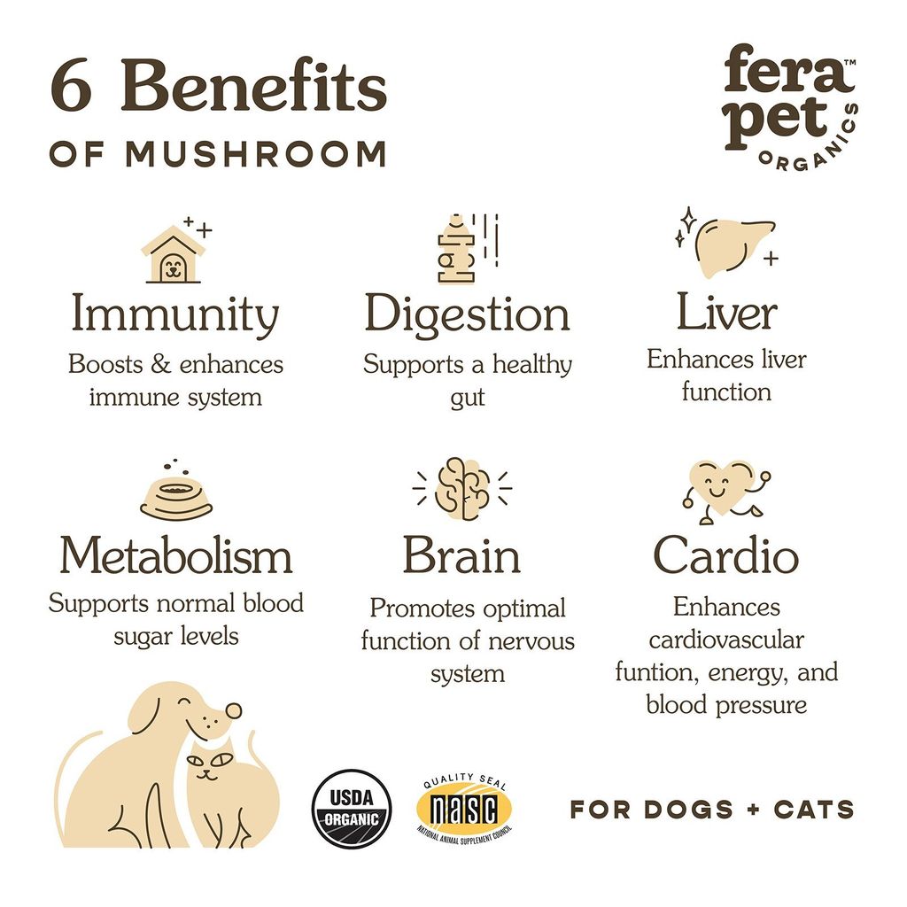 FRA_Mushroom_benefits_1600px_2048x@2x (1)