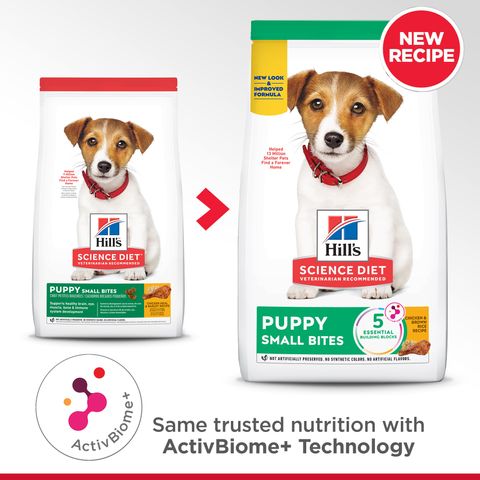 SD Puppy SMB AB Transition