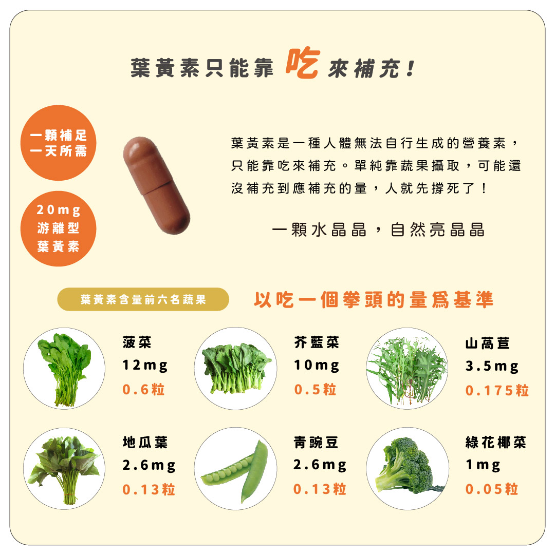 水晶晶介紹(公開版)-06