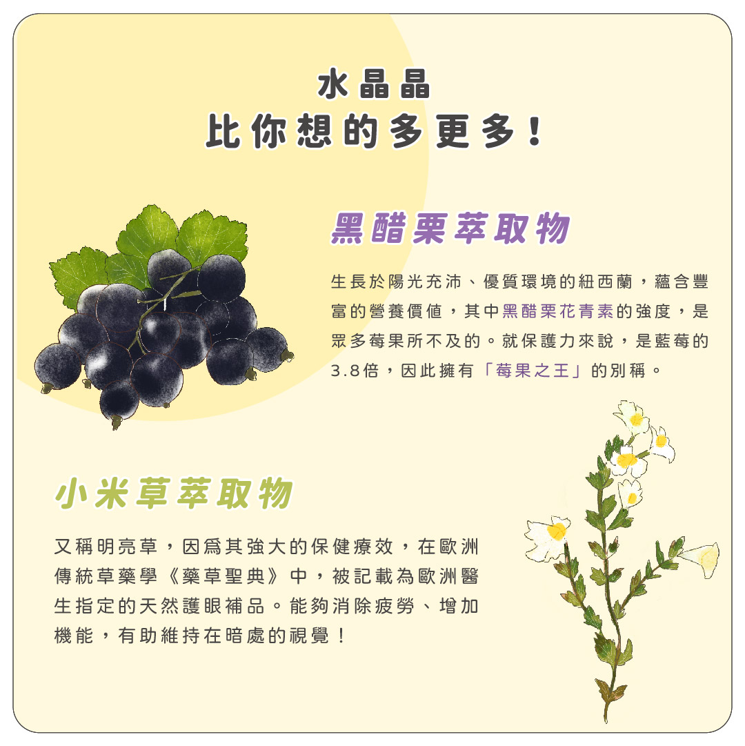 水晶晶介紹（公開版）-07