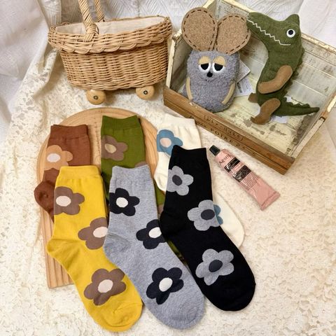 image_7097546E-582A-4B76-BD6B-5F13650D4043_1773913216