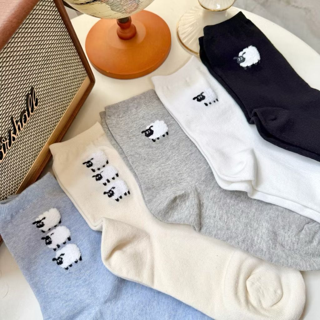 image_D50D8FEE-40D0-4E0F-A45B-801AEBD2E7AF_1773973237