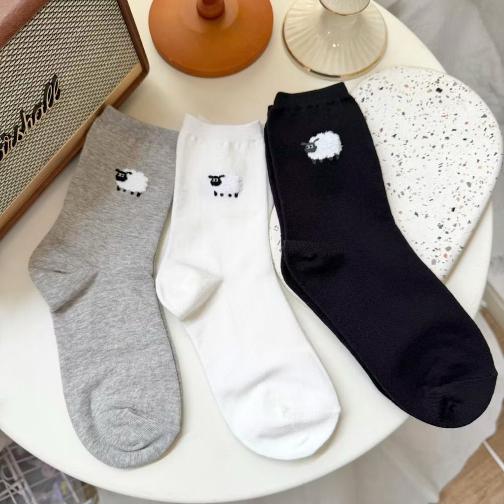 image_FAC7D4D1-CE86-40A1-98B1-7A4A5E624F25_1773973237