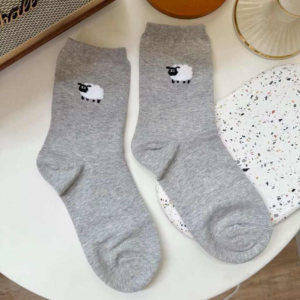 image_793E5925-3A19-43A3-B443-76E8715B8090_1773973237