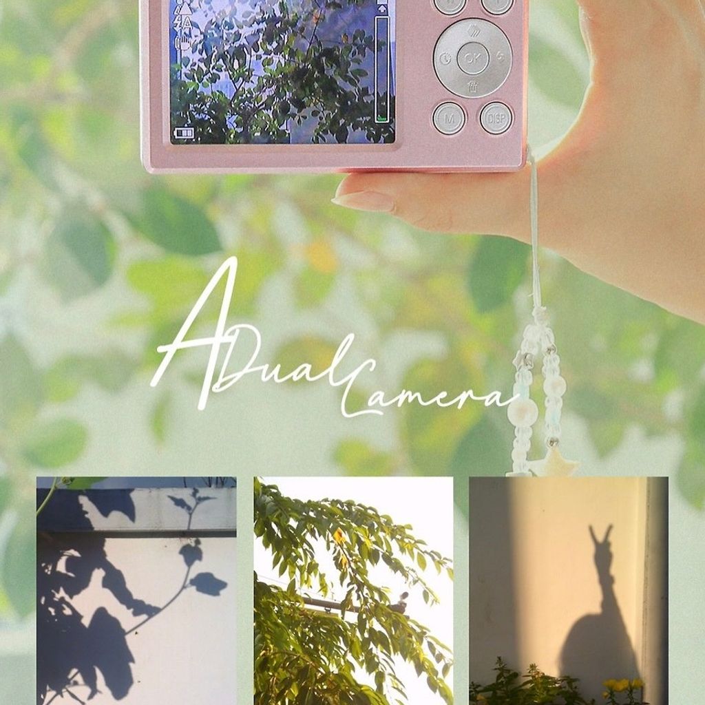 image_C3076DC1-9070-42F2-AB6E-DC698B38B9B4_1774401846