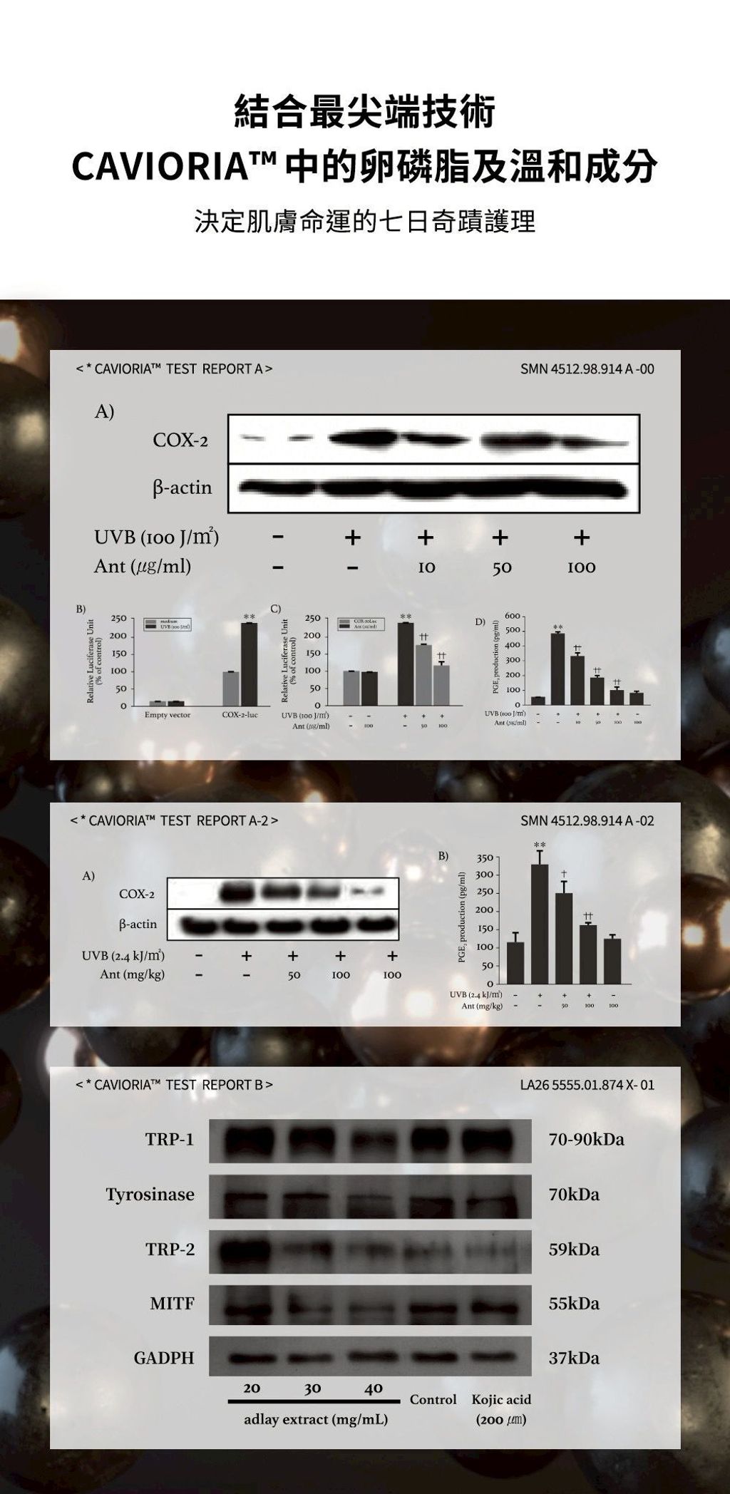 image_4F58E531-FCC0-43CC-8A4B-CB83497EC491_1775786803