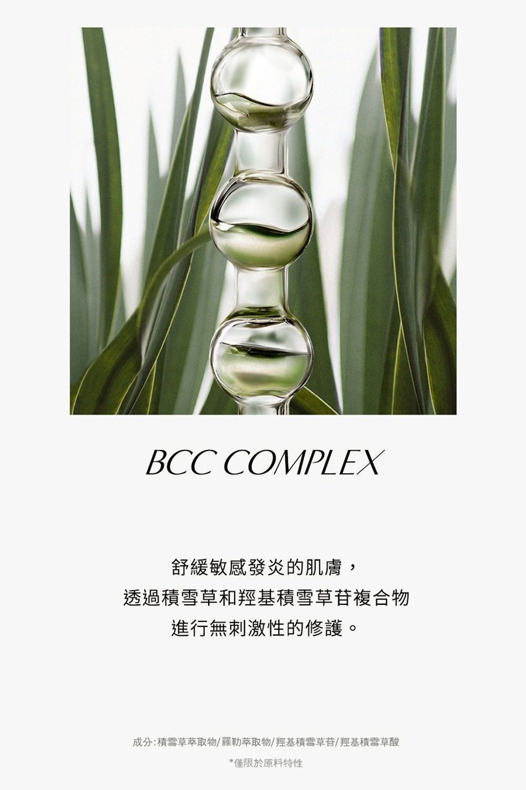 image_0EAA22E6-15D3-463C-BB84-5F66C043E851_1775787910