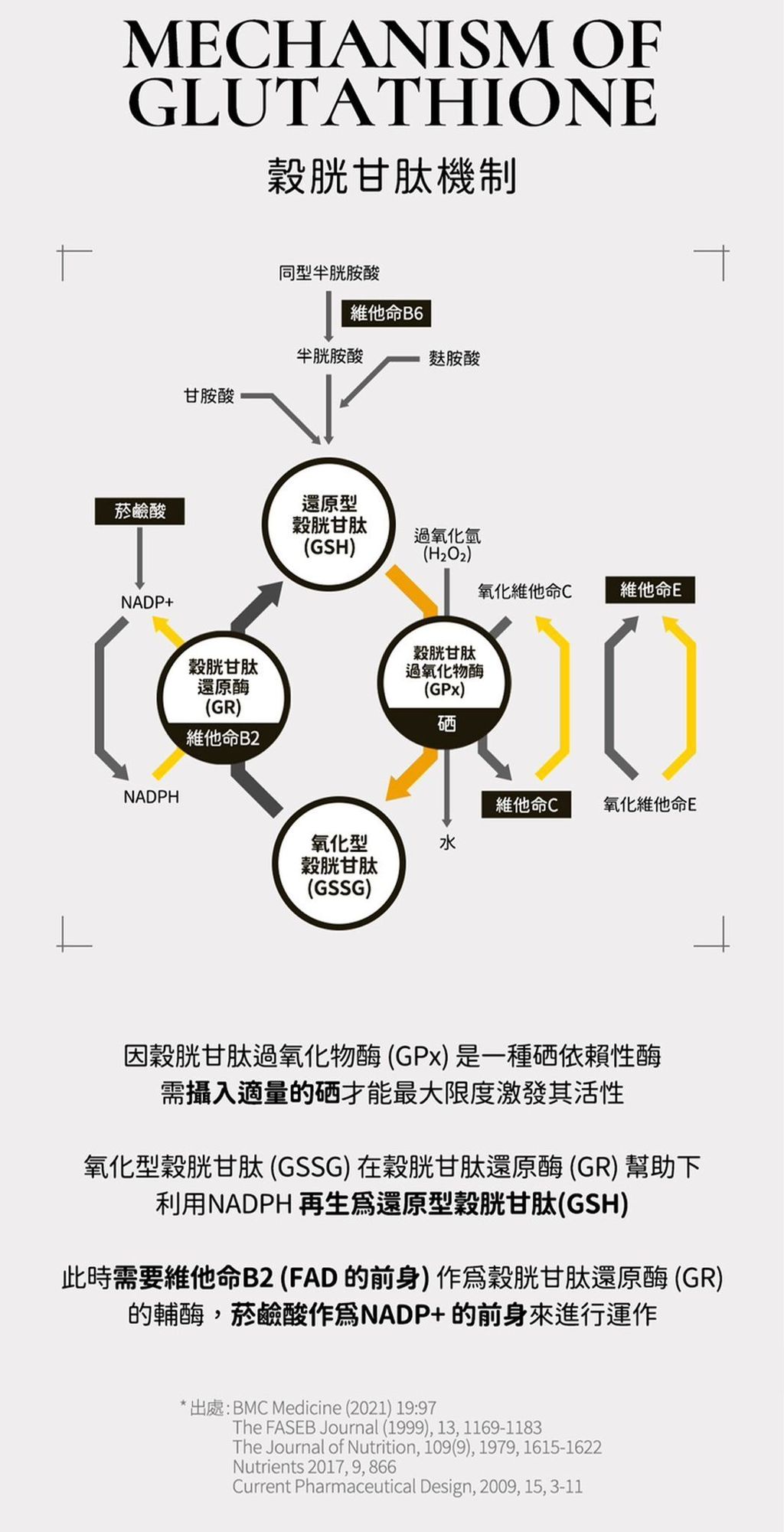 image_333C68B2-3E12-4197-8607-6EFFFB4F967C_1775788239