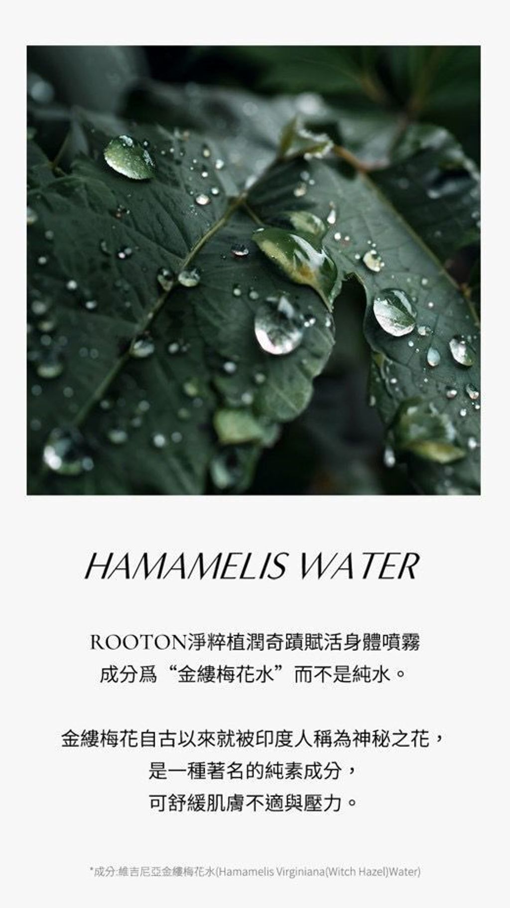 image_D26B604A-23C5-4524-9E3E-A1C1D7491B3D_1775788924