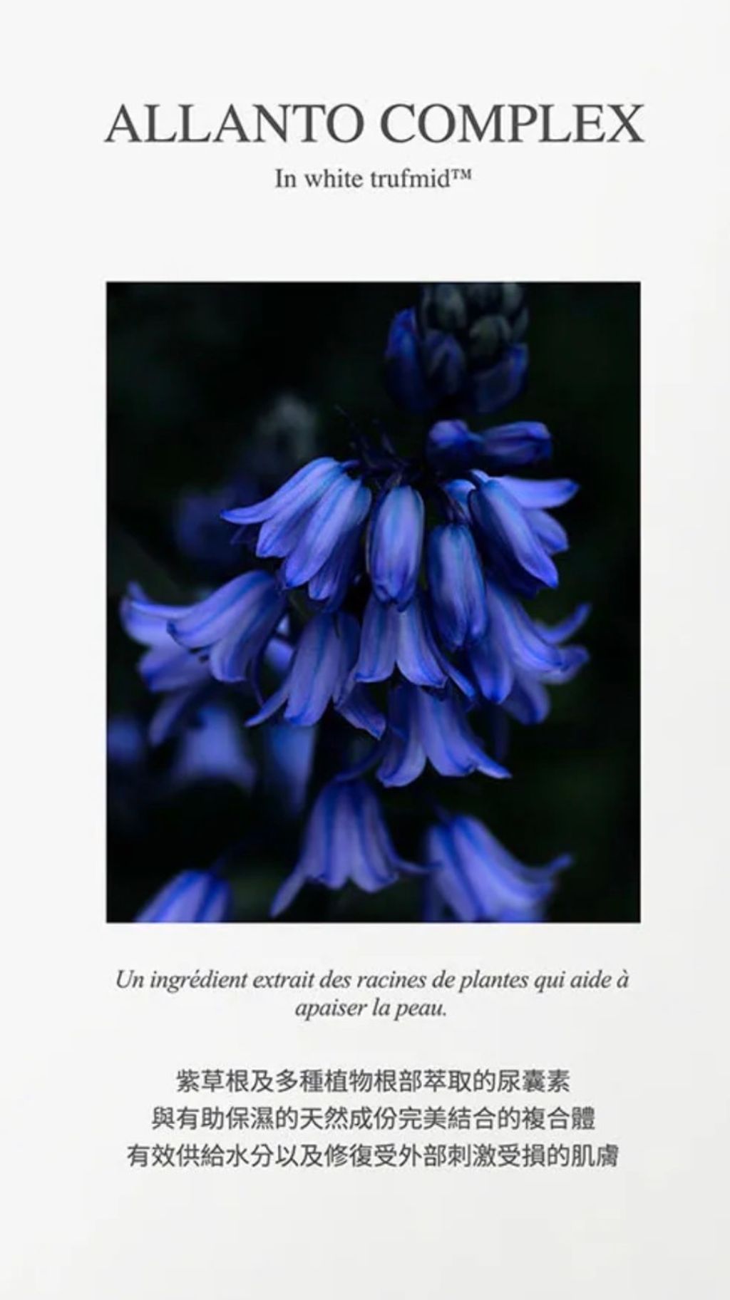 image_3E05BEB3-6031-43A8-BA88-E8693A54E992_1775789680