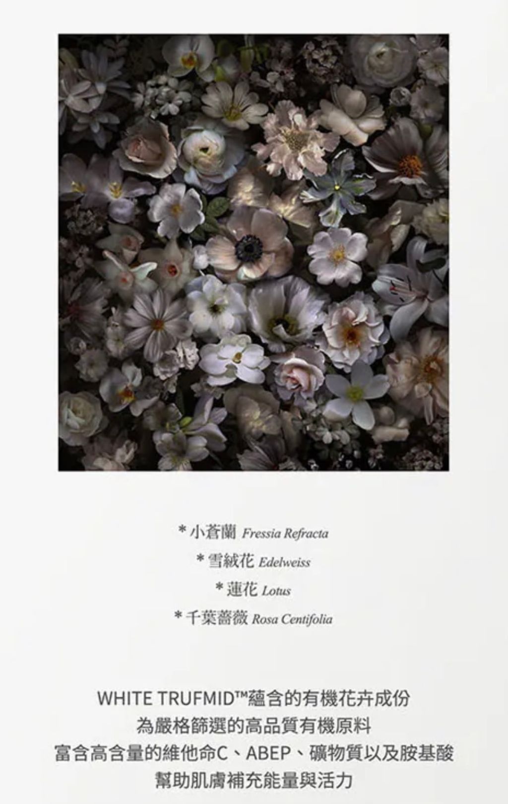 image_DEF05B7F-C608-442A-B1EF-307C042A7704_1775789680