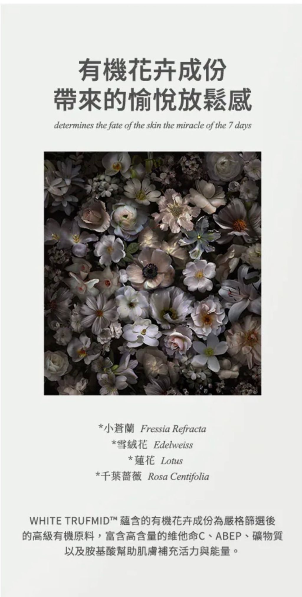 image_1A5CAE5D-155D-450C-9A3A-A40D8B75E64C_1775790114