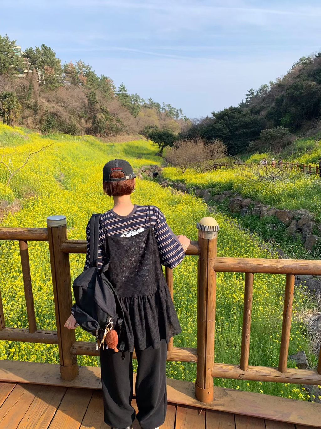 4f5f09687d0fa097ff8d022e7f316195