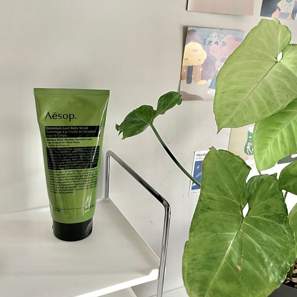 PHOTO-2023-11-30-11-53-51