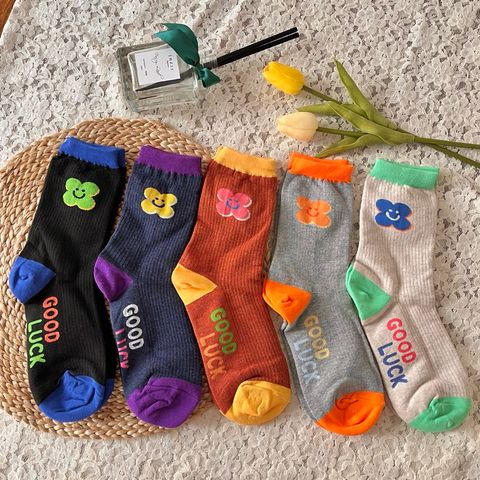 tw-11134207-7r992-lphlb8yo2n8y6c