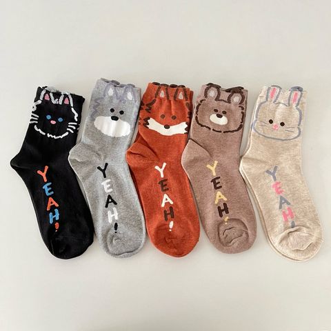 tw-11134207-7r98x-lqcthniwq7rs70