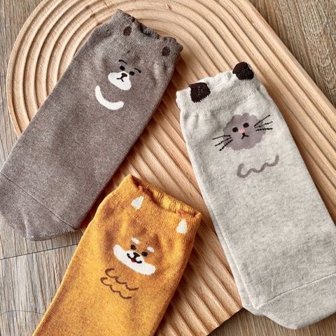 5aa72027d4b8f4514f8854c6b3003ddc