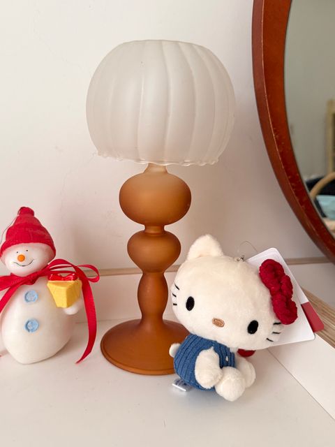 image_DC6F903C-1D88-47FB-B2DF-5653A6E9EDEF_1763453948