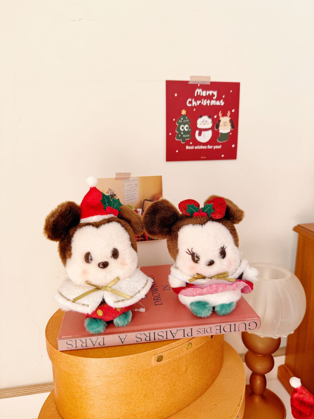 image_728730BE-D182-4695-A366-2904BFD67D99_1763623512