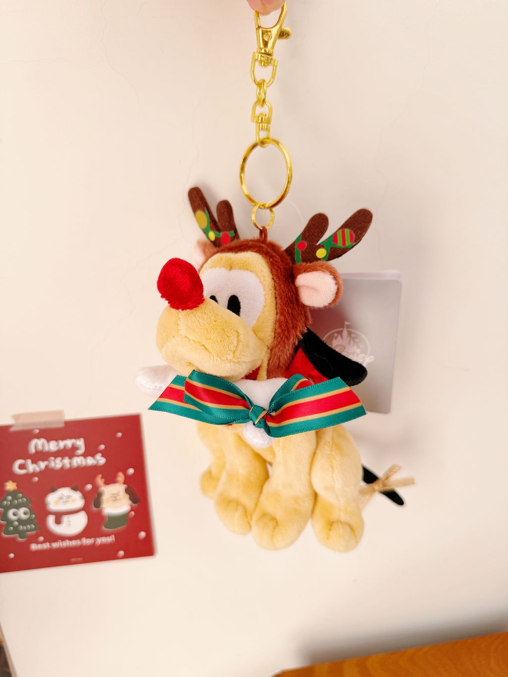 image_30FFBE5D-AE49-49E8-805C-E01CCCE86E2C_1763624414