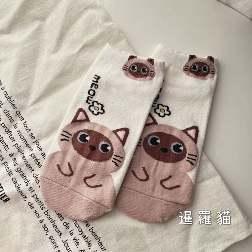 image_7F96A7D4-7B99-4090-B7D9-1234683AC6F0_1763953925