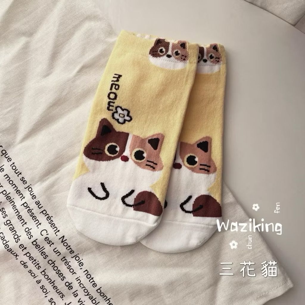 image_907E1E63-46EA-4D5F-9E81-6F6FFABEAF8A_1763953925