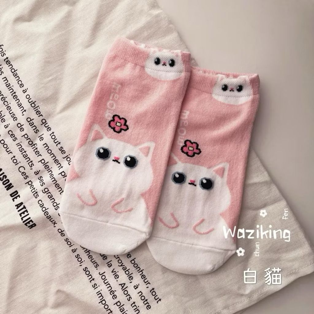 image_CC36F4D1-9C9C-4754-A954-FFA230670A00_1763953925