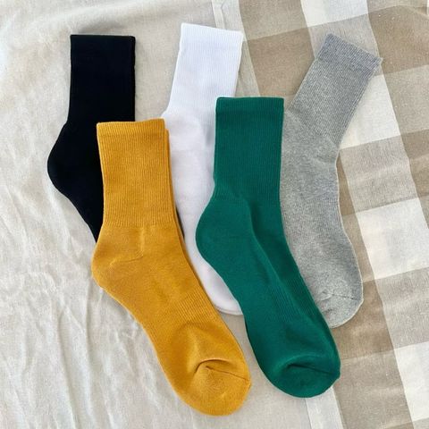 image_8291183E-C23B-4BA2-8237-55C4248348DC_1764036301