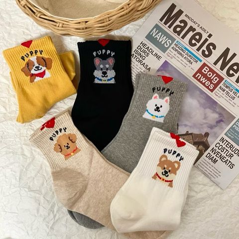 image_C25522E6-6CD4-4CE5-86B9-A48811BFD1DC_1764040497