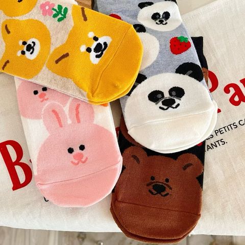 image_B3F95A75-4C41-4BE0-89E7-E4229F2AED23_1764056973