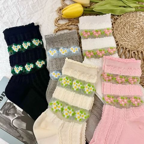 image_FB70C7F3-D2AF-474A-A546-BEC06D332913_1764058388