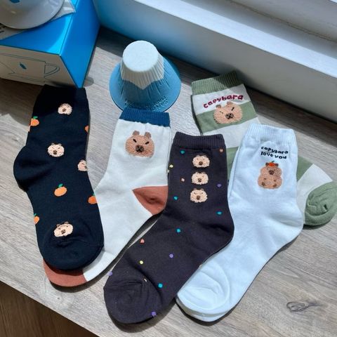 image_EF92145E-D000-4DB8-8212-8C94B1394AA7_1764124138