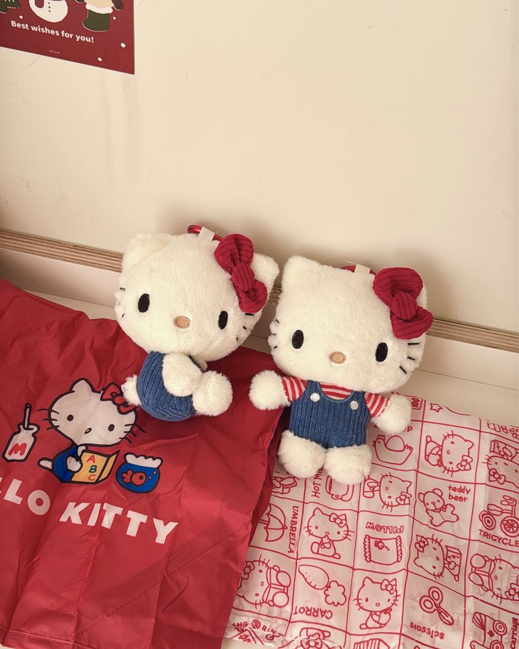 image_16DF3AD7-0174-4011-8EAB-C5EA9E9642DA_1765553640