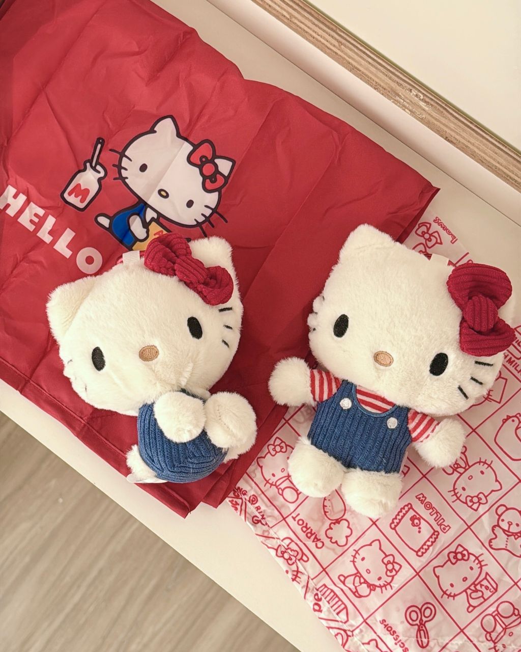 image_B8E2B838-E2CC-43DF-8775-F5824C7C55CB_1765553640