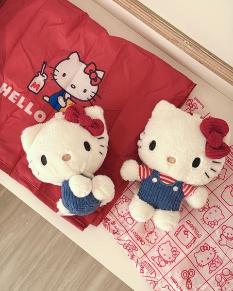 image_B8E2B838-E2CC-43DF-8775-F5824C7C55CB_1765553640