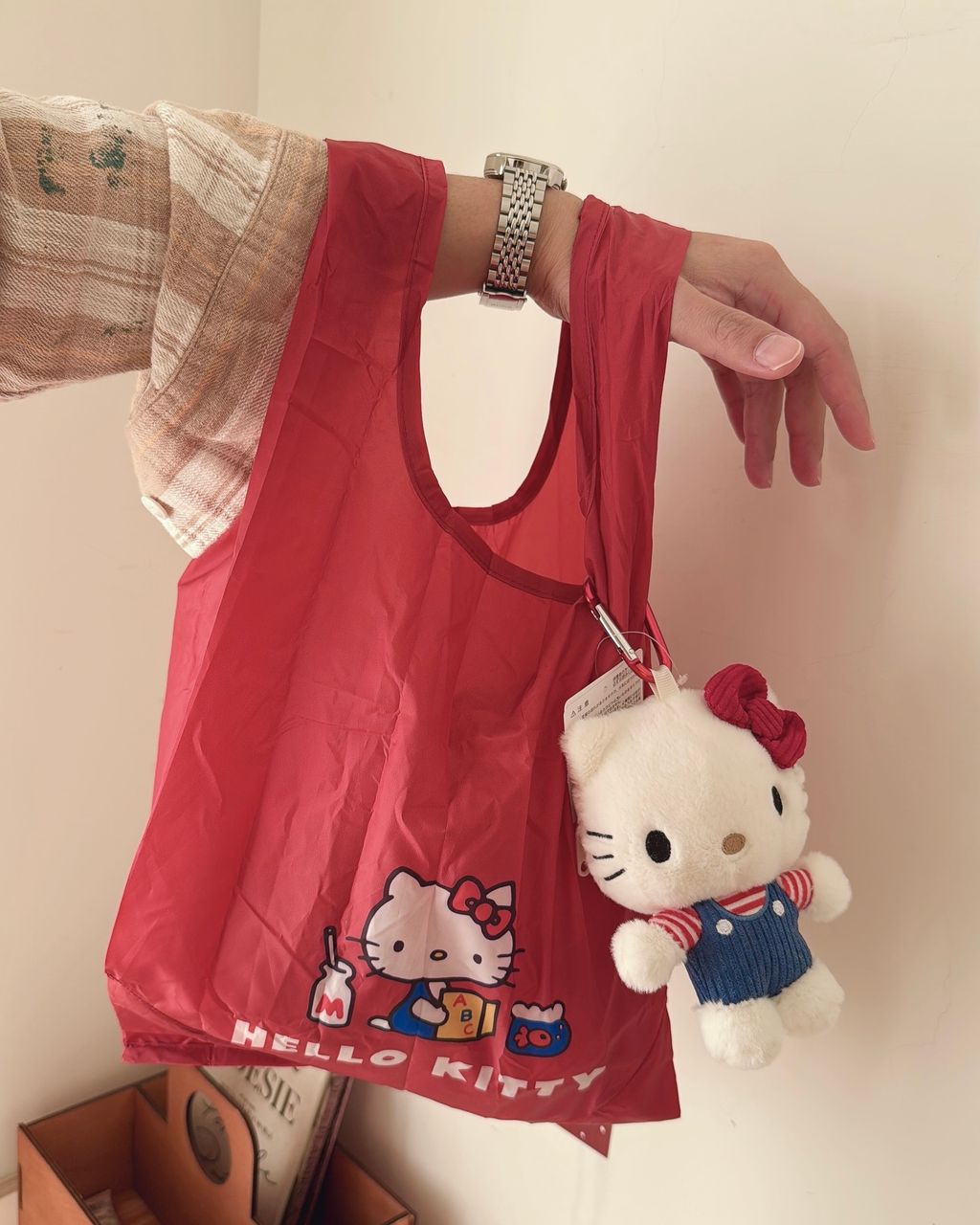 image_5A25E469-4F26-4069-8FBC-BA1596A98EA0_1765553640