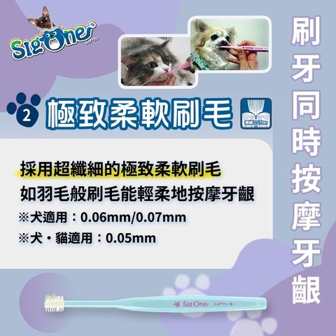 日本SigOne 360度細軟刷毛牙刷– MR.DAIFUKU 大福先生I 寵物選品