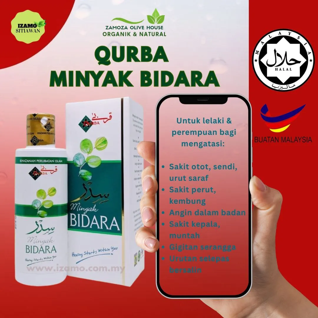 photo_2025-11-04_17-53-01