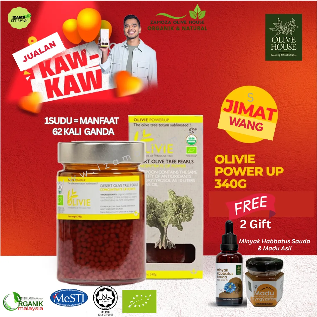 2_20251125_002727_0000