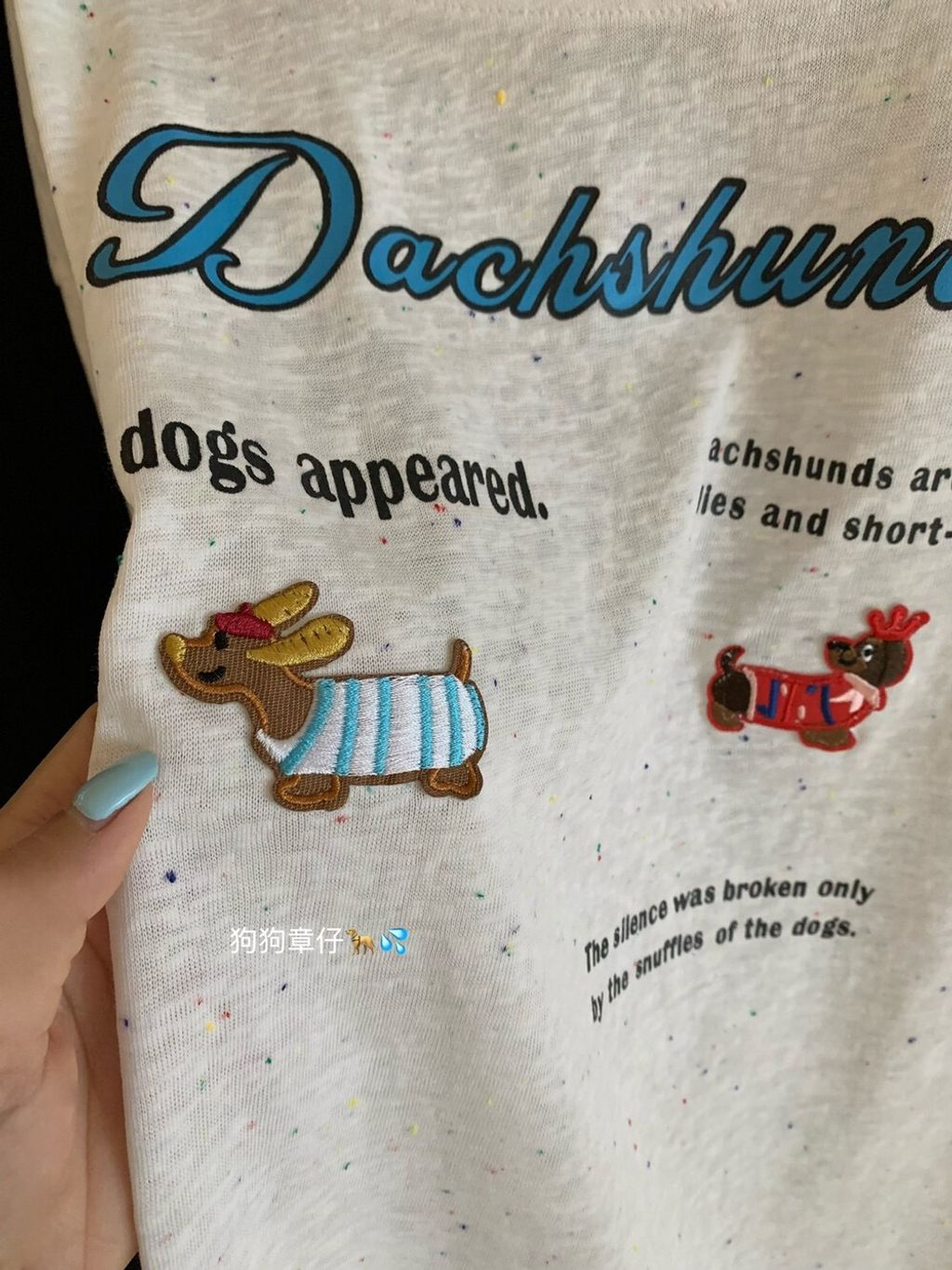 image_631EC912-7353-4990-A416-006C4FD2D6DB_1755027645