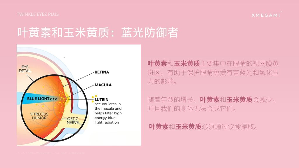 image_CCDF7FB6-E379-43B7-82BF-11FF701B15ED_1750565947