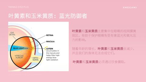 image_CCDF7FB6-E379-43B7-82BF-11FF701B15ED_1750565947